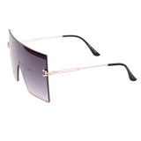 Charcoal Hue Visor Sunglasses at fancy5fashion.com