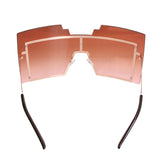 Oversized Brown Shield Sunglasses at Fancy5Fashion.com